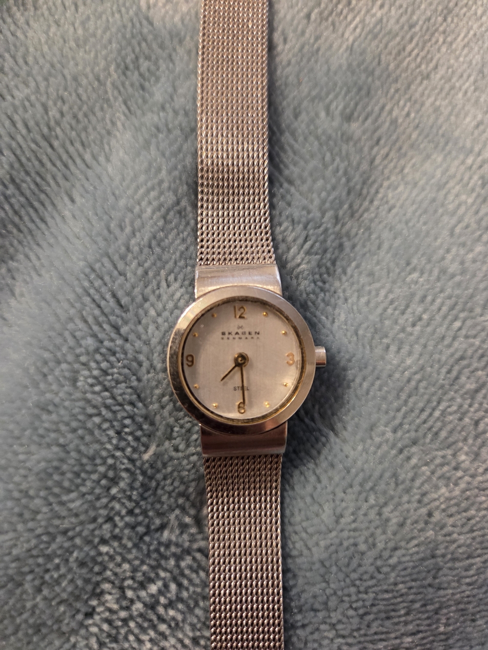 Skagen Silver Women's Watch - Silver